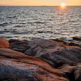 The Art of The Sea