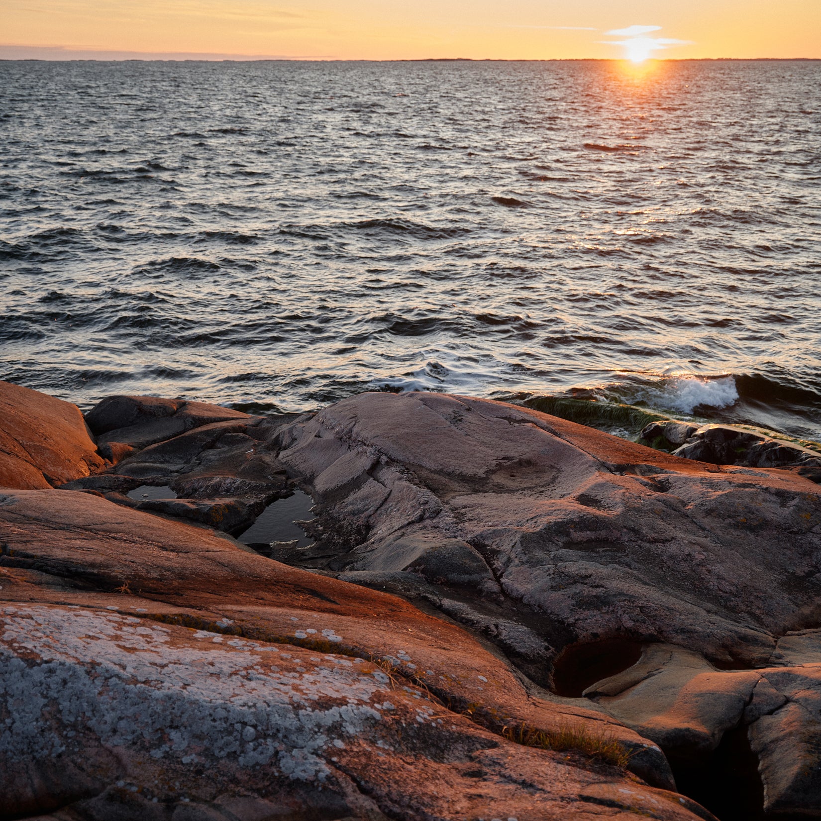 The Art of The Sea