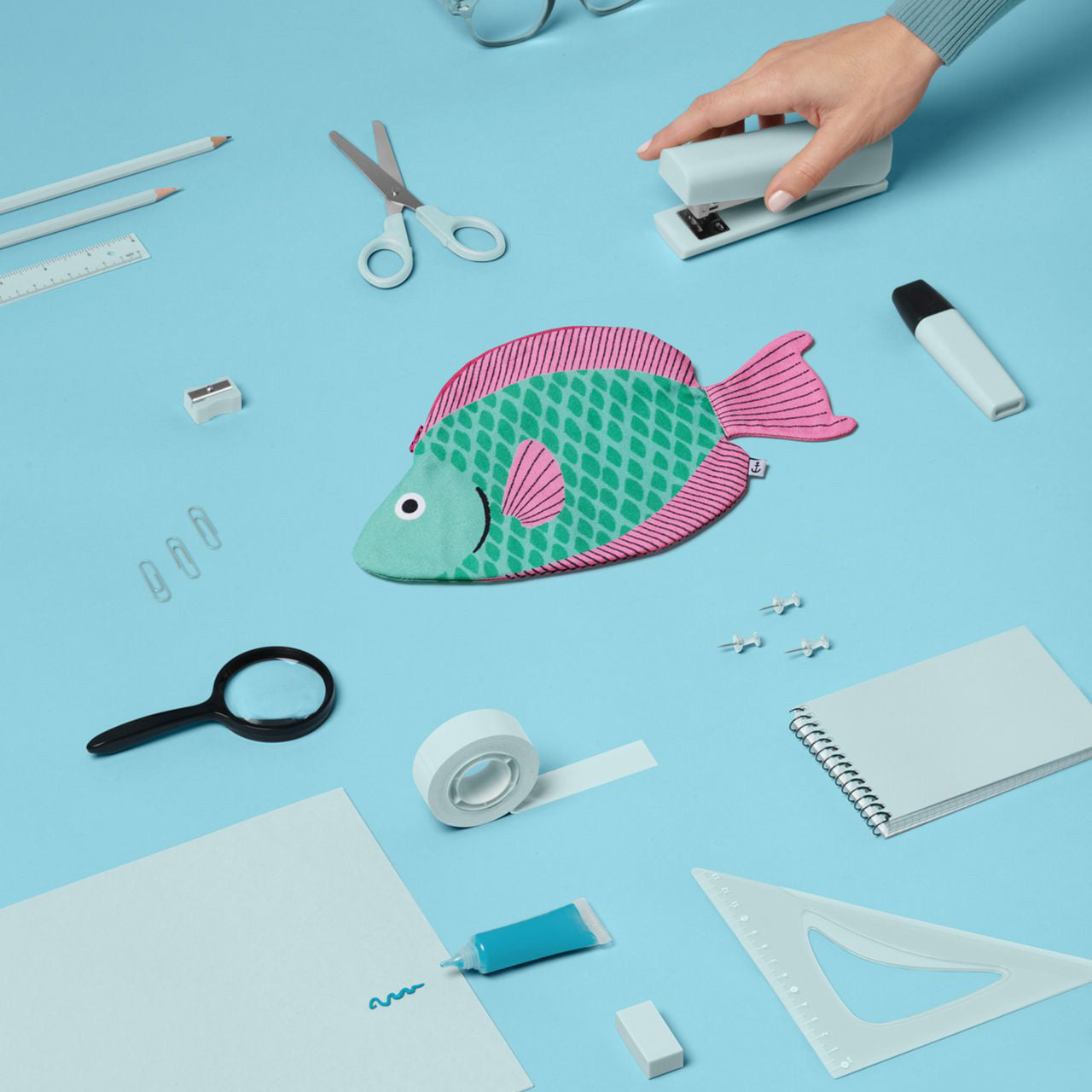 Fiskepung Papegøjefisk