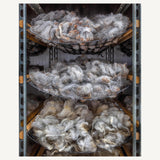 The Wonder of Wool: A knitter's guide to pure breed sheep