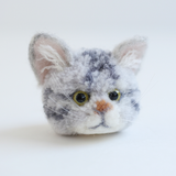 Pom pom kit, American Shorthair