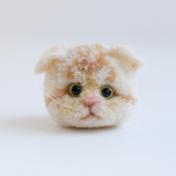 Pom pom kit, Scottish Fold