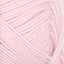 Sunday ballet rose [4511]