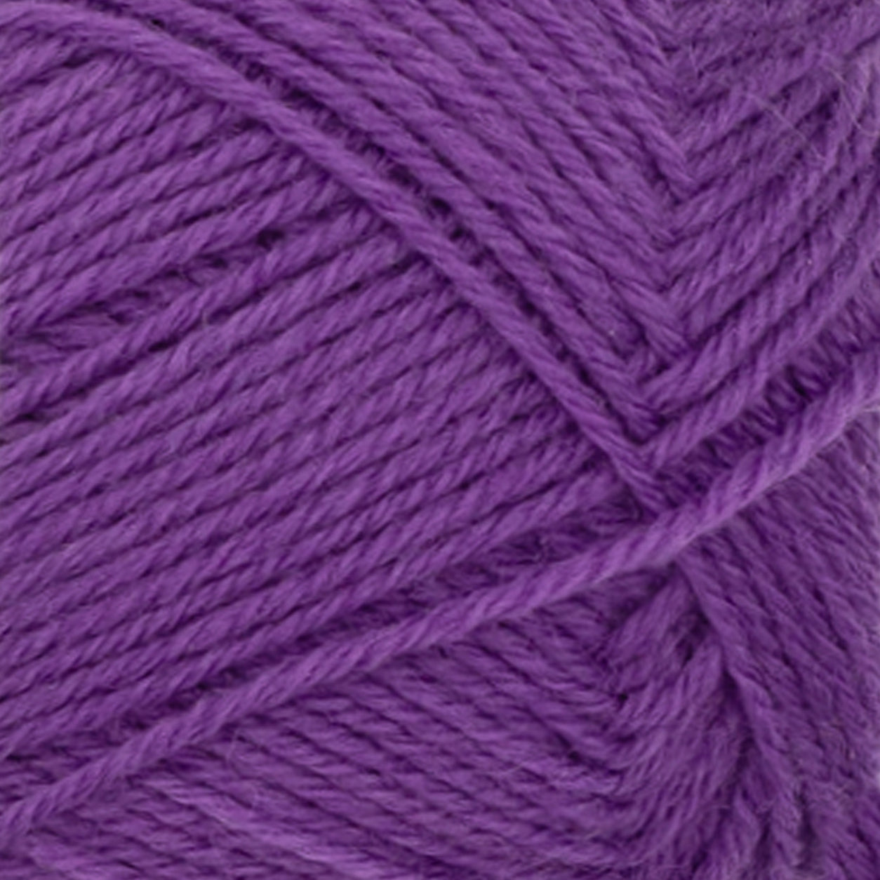 Sunday plum [5045]