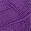 Sunday plum [5045]
