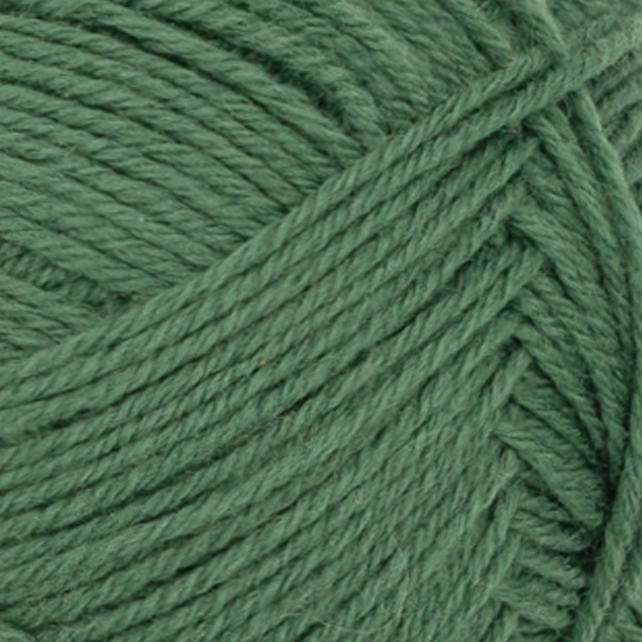 Sunday elm green [8073]