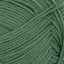 Sunday elm green [8073]