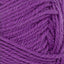 Double Sunday plum [5045]