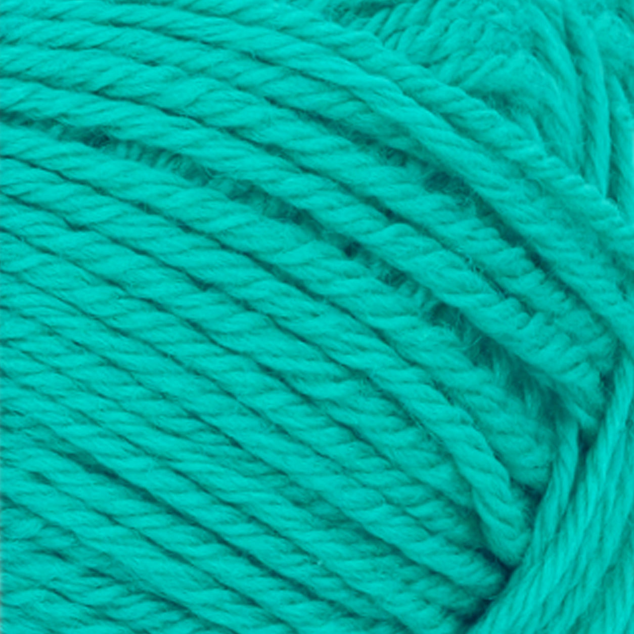 Double Sunday spectra green [7526]
