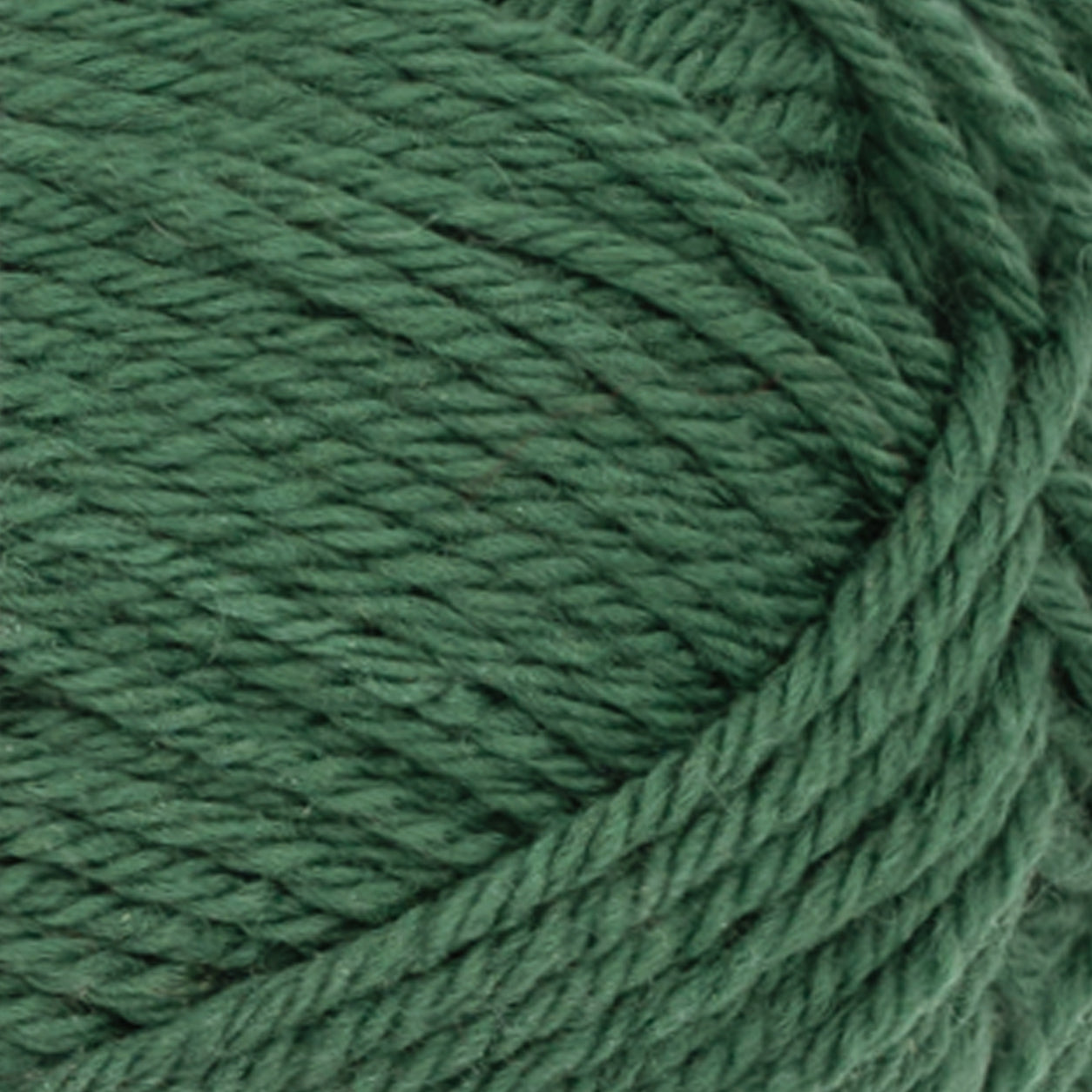 Double Sunday elm green [8073]