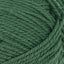 Double Sunday elm green [8073]