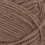 Atlas acorn [3161]