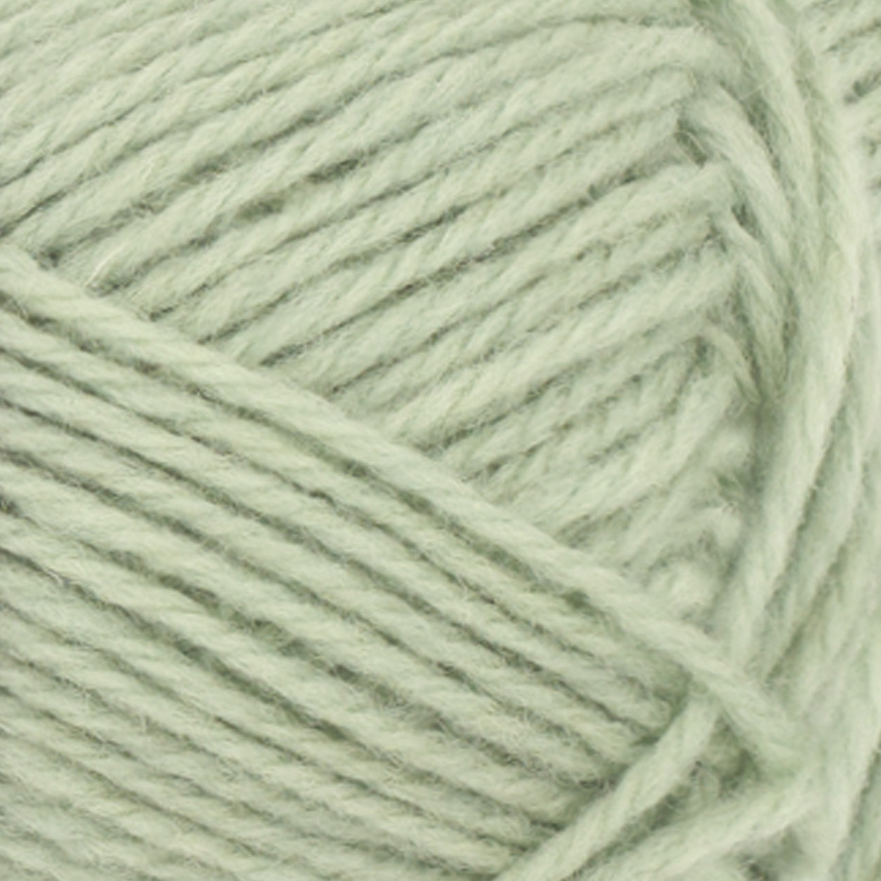 Atlas dusty light green [8521]