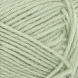 Atlas dusty light green [8521]