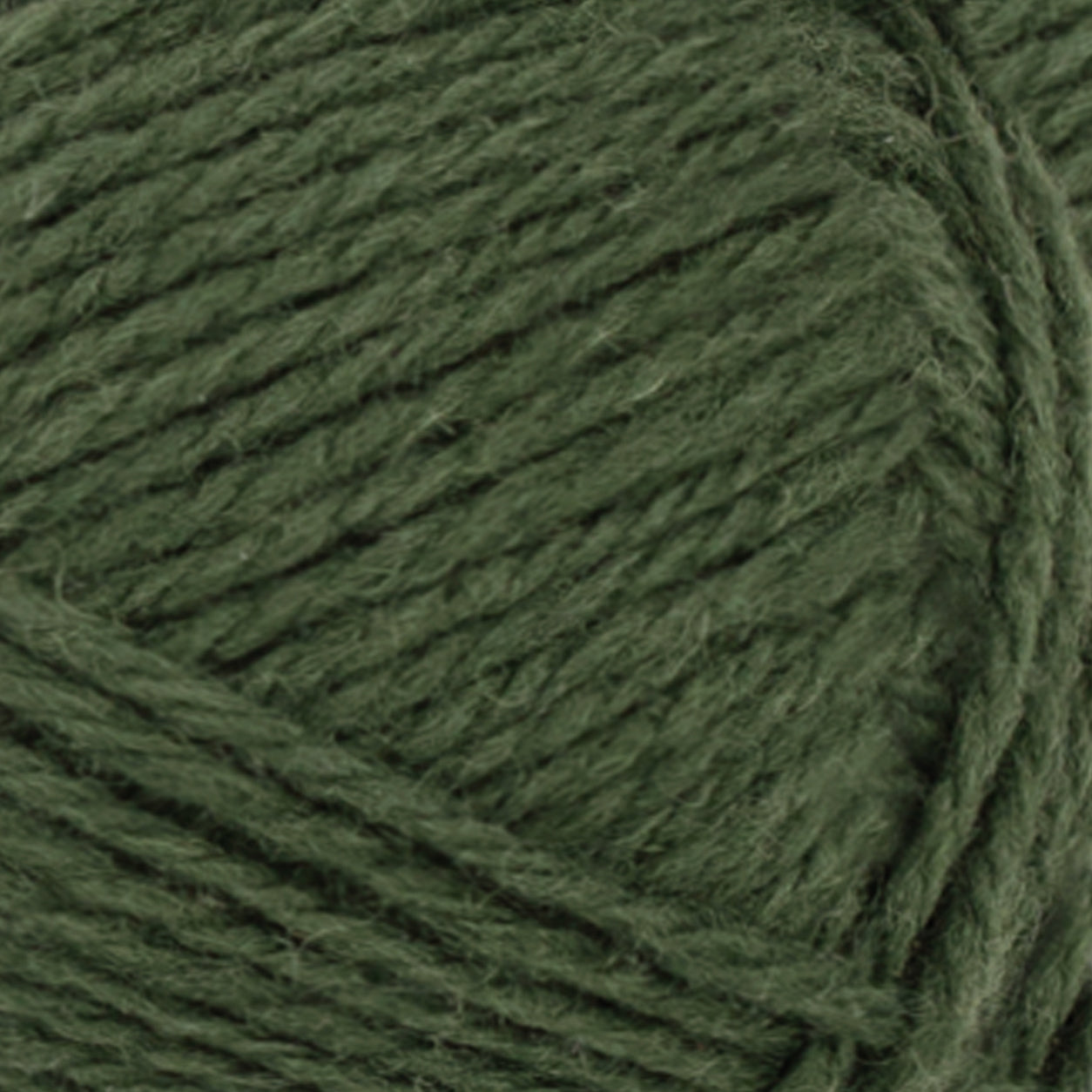 Atlas dark forest green [8571]