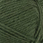 Atlas dark forest green [8571]
