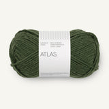 Atlas dark forest green [8571]