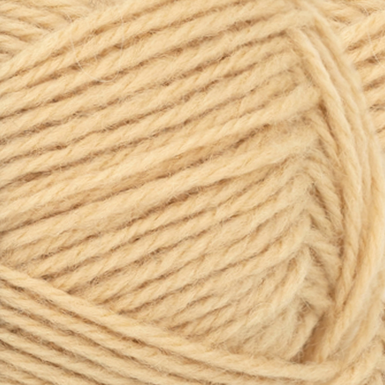 Atlas PetiteKnit harvest moon [2322]