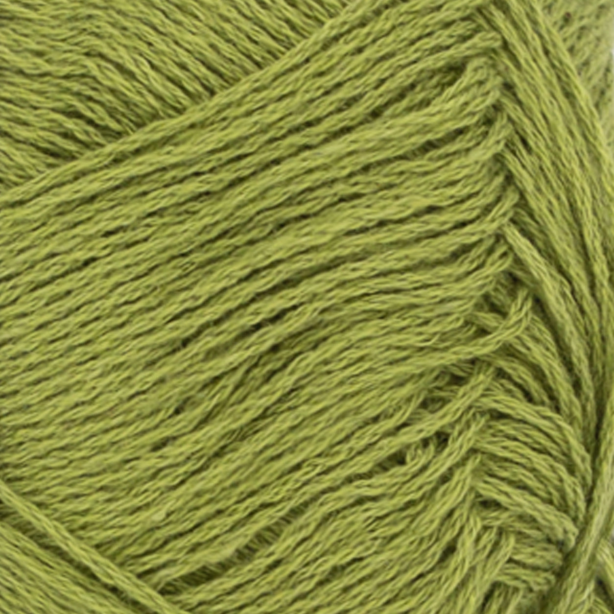 Tynn Line matcha [9564]