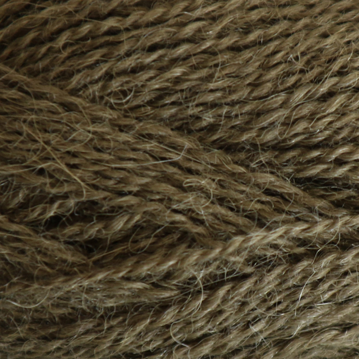 Alva olive noir [386]