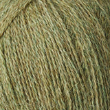 Alpaca 1 [thyme]