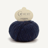 Cardiff Cashmere Classic night [318]