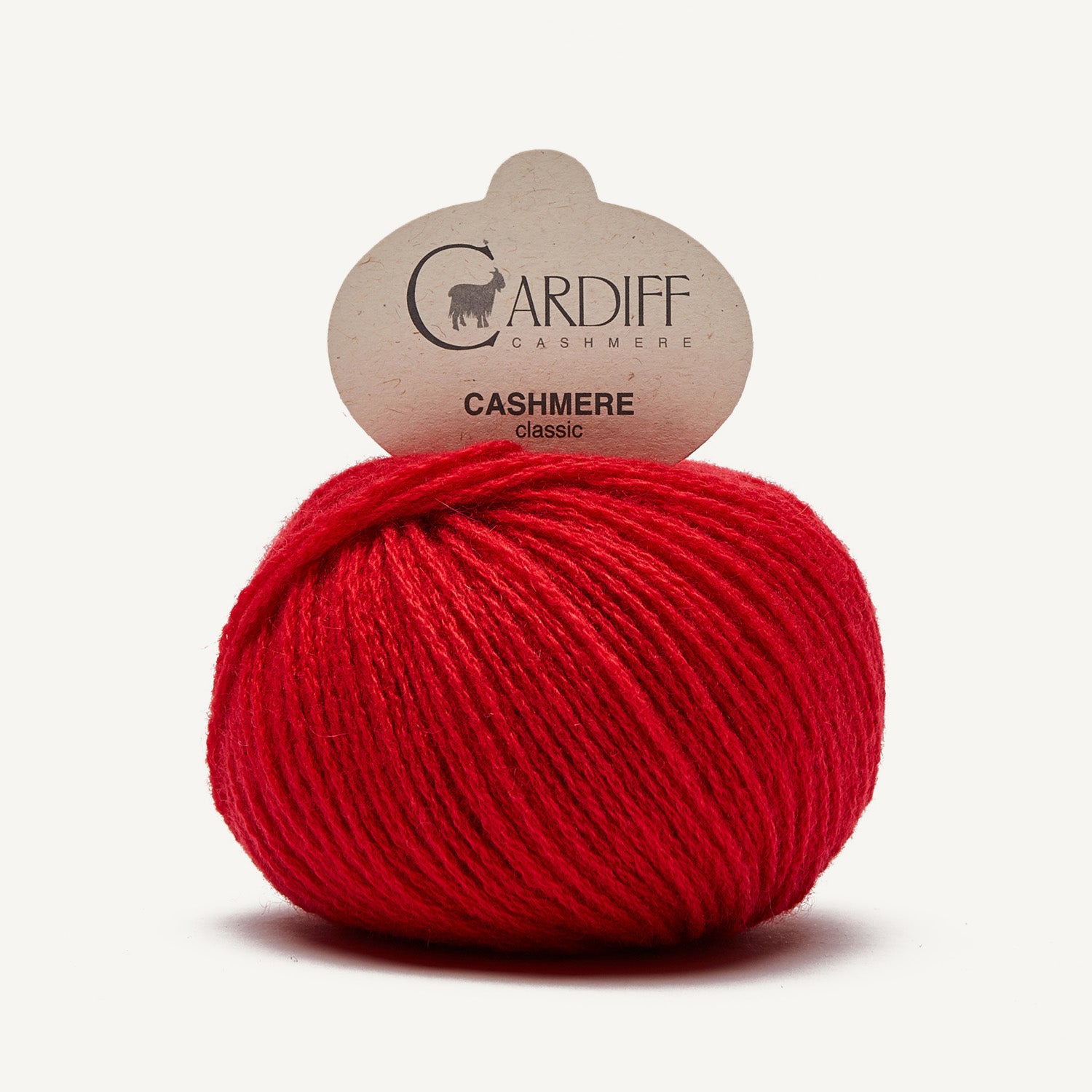 Cardiff Cashmere Classic gerbera [564]