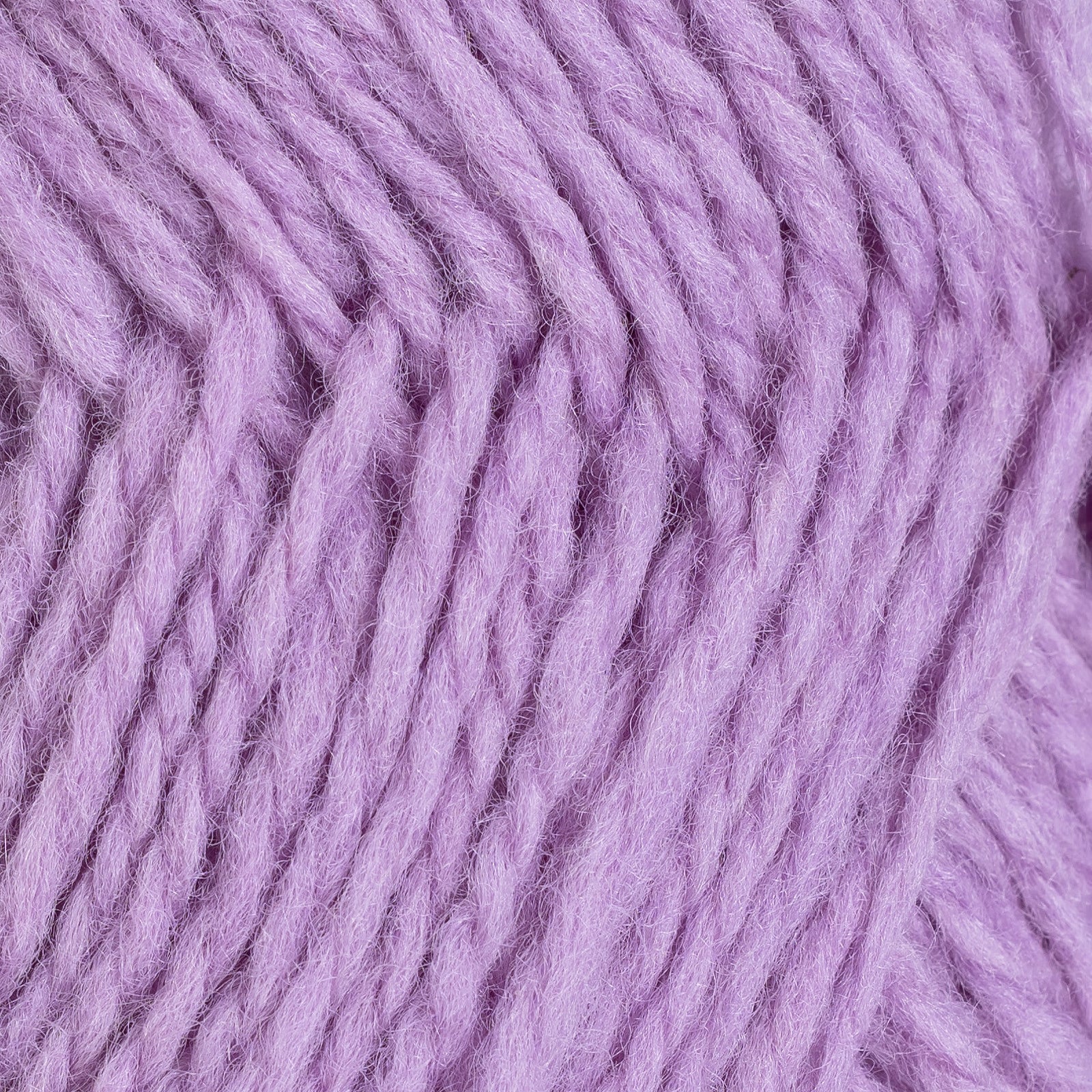 Fivel lavendel [05]
