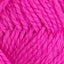 Fivel rosa [13]