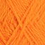 Fivel orange [20]