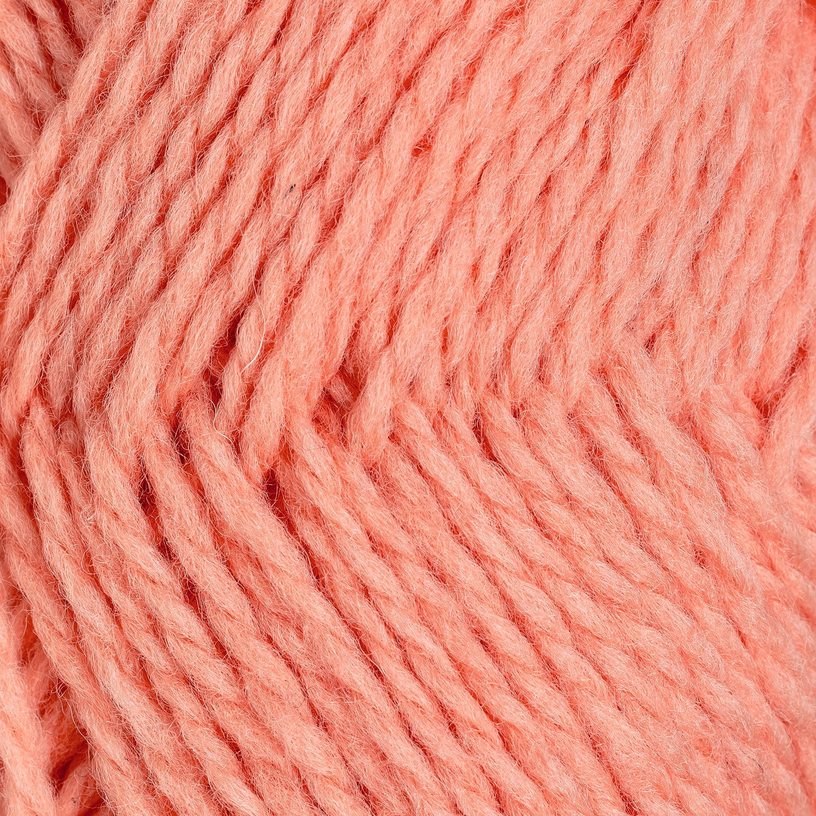 Fivel koral [26]