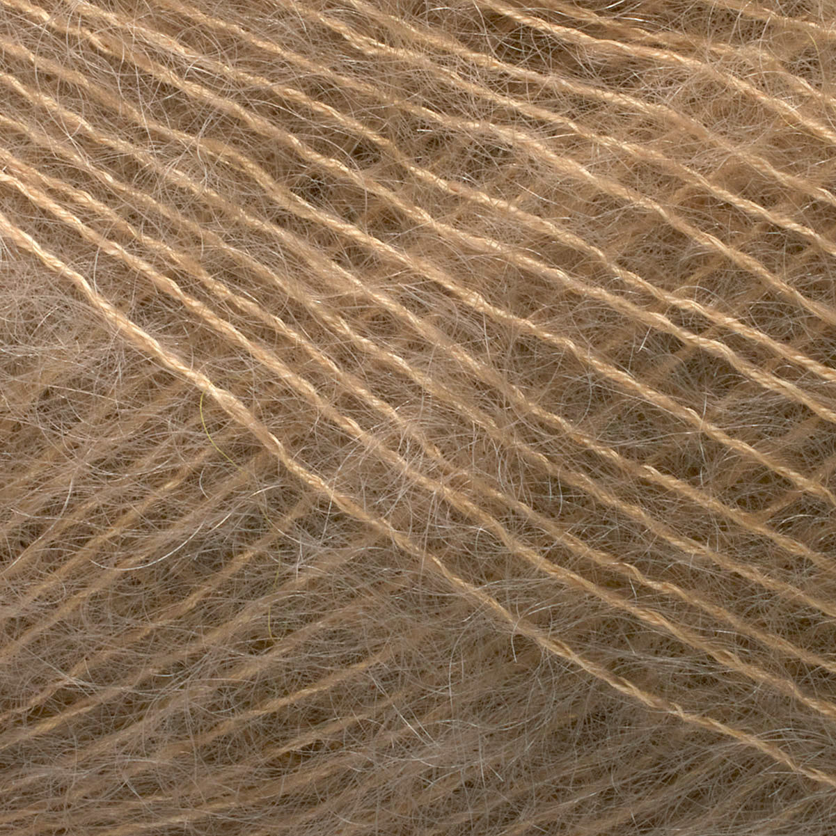 Tilia chai [364]