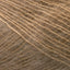 Tilia chai [364]