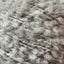 Teddy Dear light grey [502]