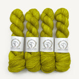 Merino Singles kokko