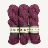Sonata currant [54]