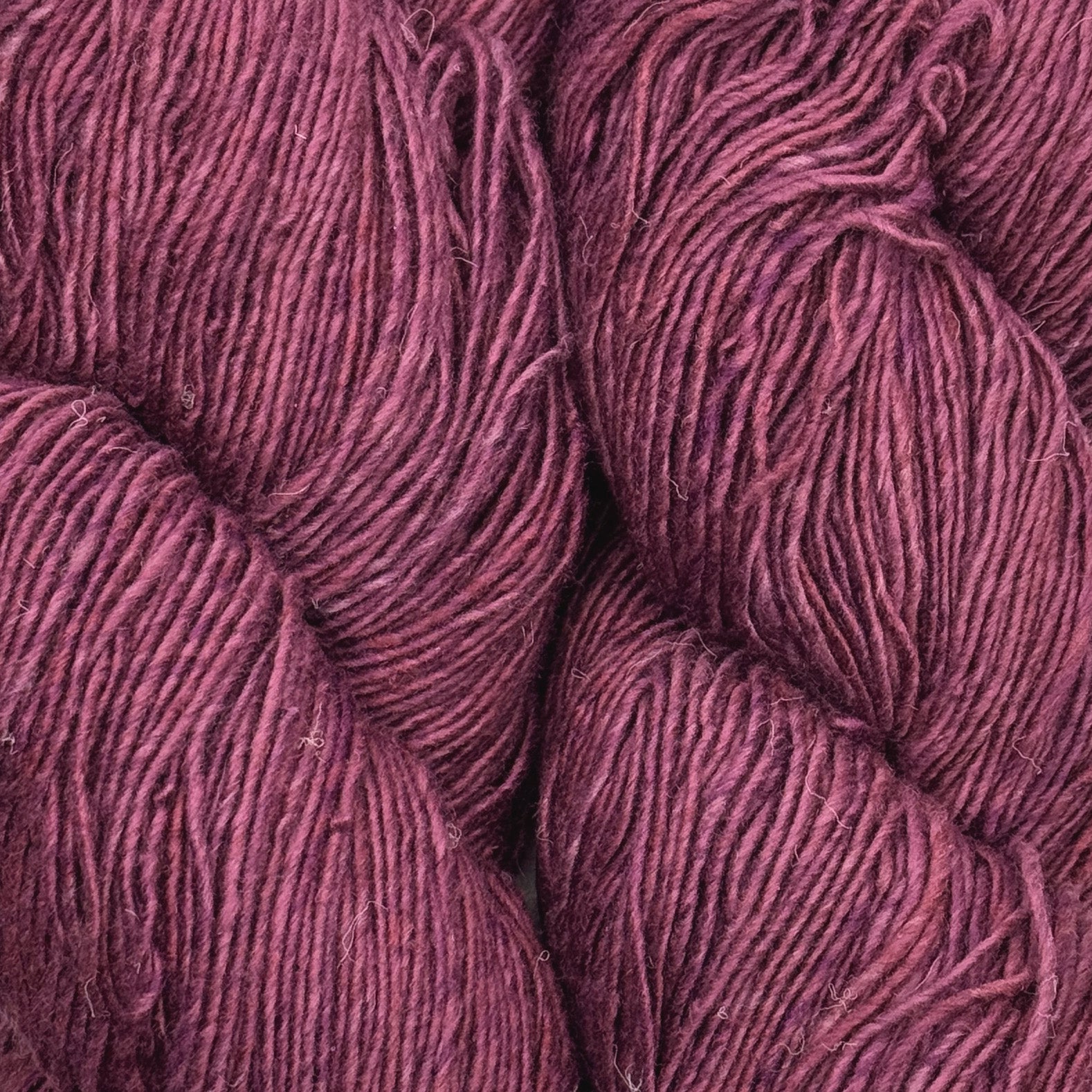 Sonata currant [54]