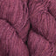 Sonata currant [54]