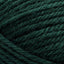 Peruvian Highland Wool hunter green [147]