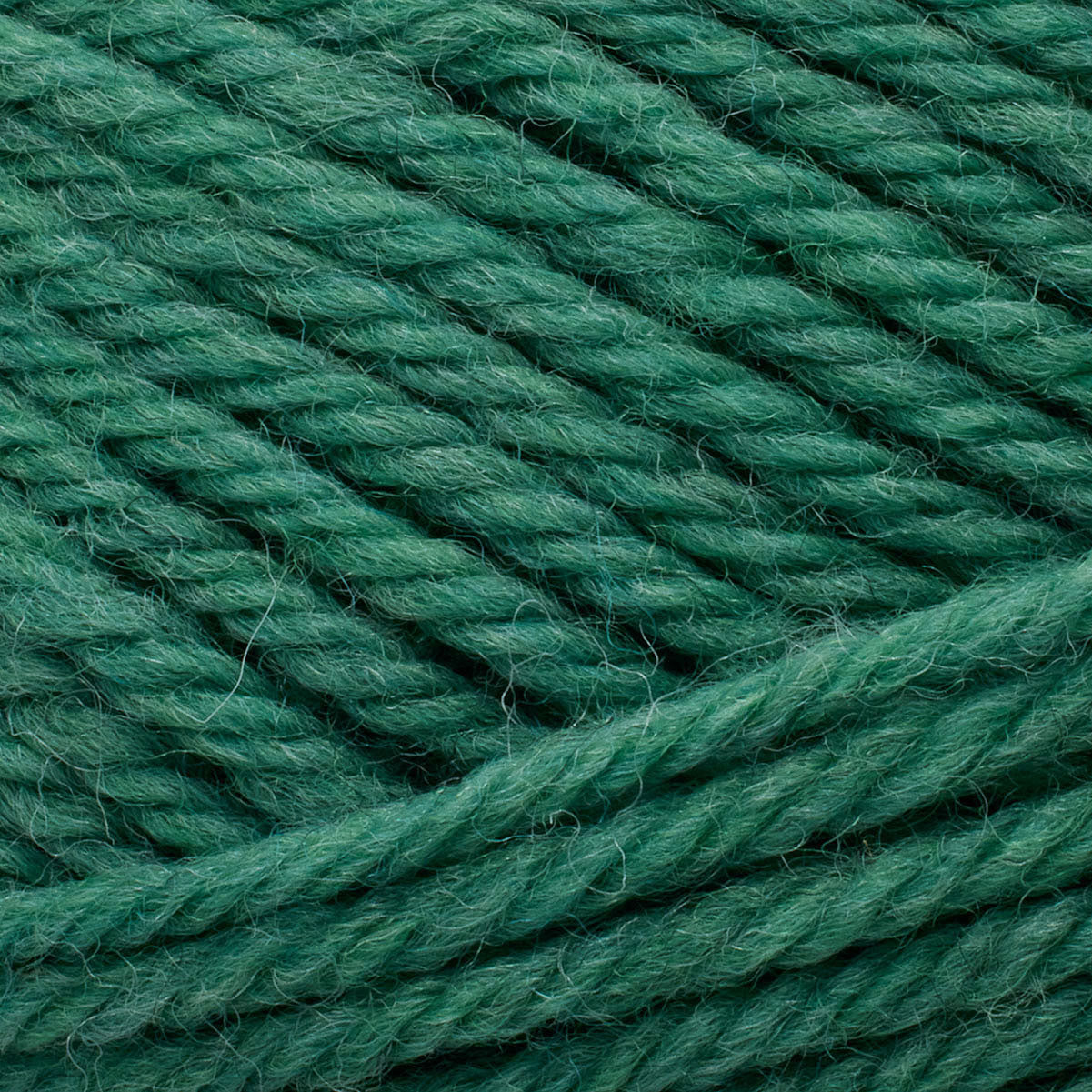 Peruvian Highland Wool emerald [834]