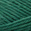 Peruvian Highland Wool emerald [834]