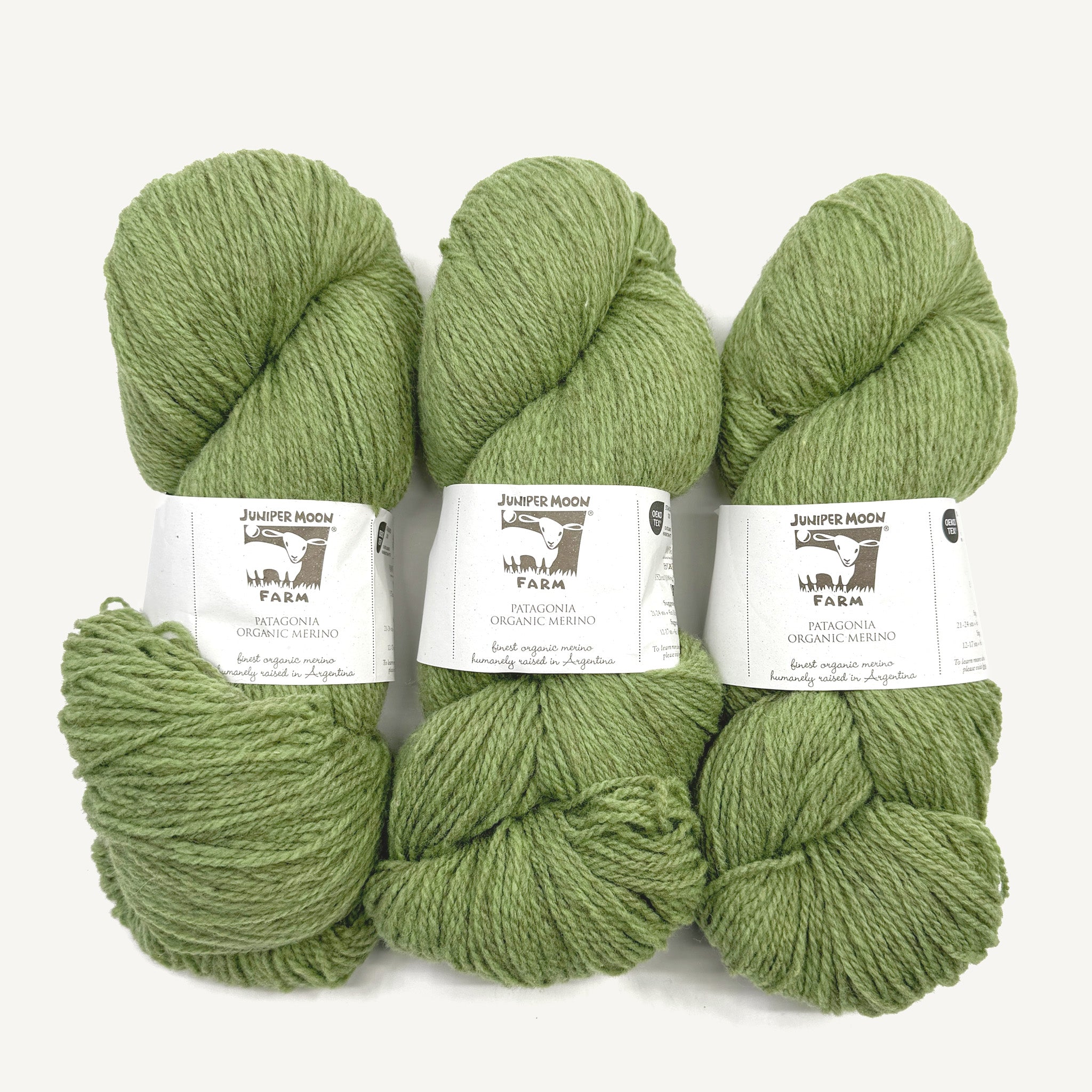 Patagonia wasabi [105]