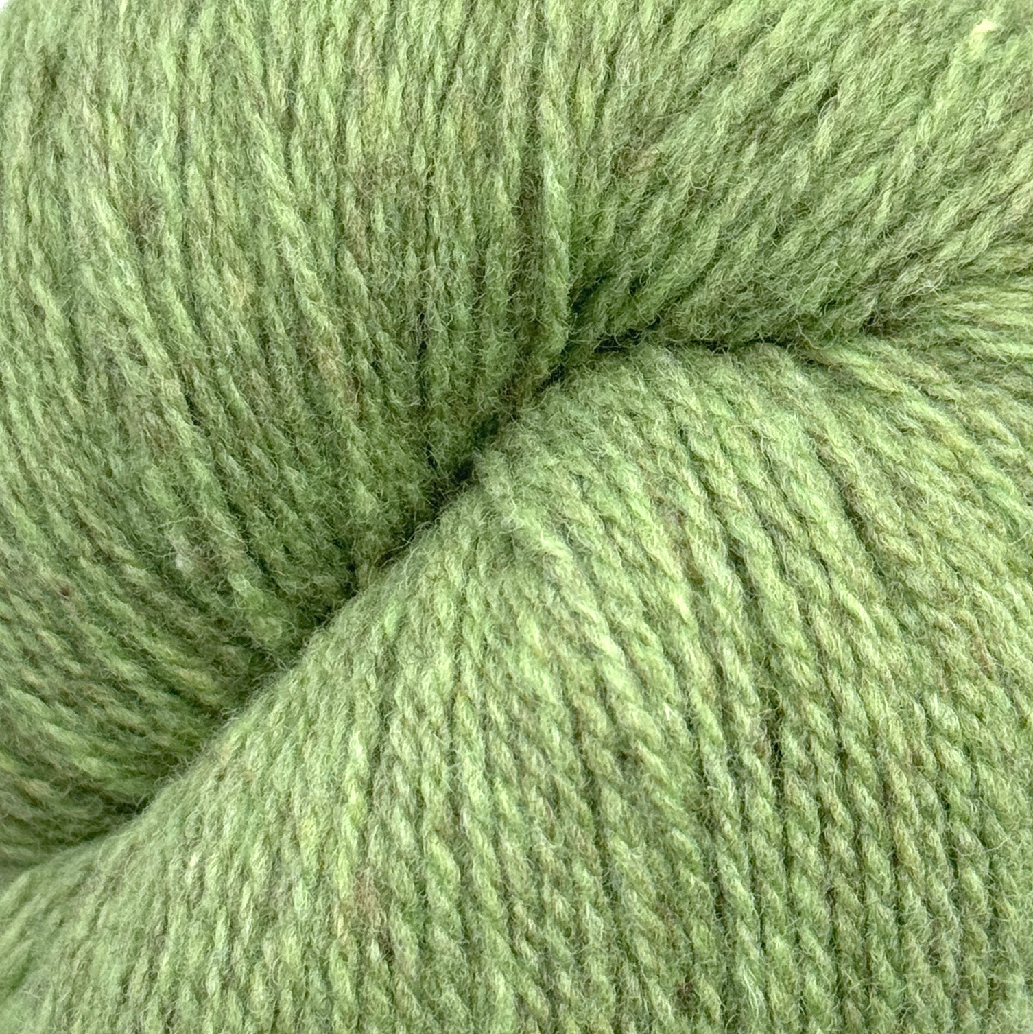 Patagonia wasabi [105]