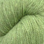 Patagonia wasabi [105]