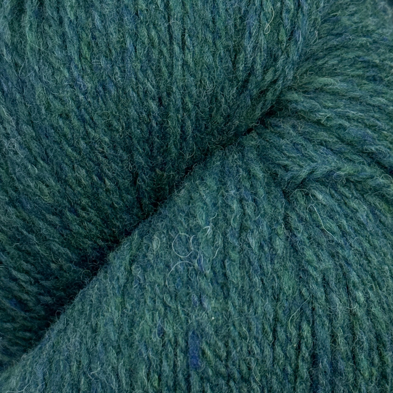 Patagonia juniper [106]