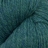 Patagonia juniper [106]