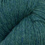 Patagonia juniper [106]