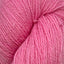 Patagonia bubblegum [142]