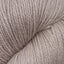 Patagonia sand dollar [148]