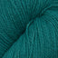 Patagonia viridian [154]